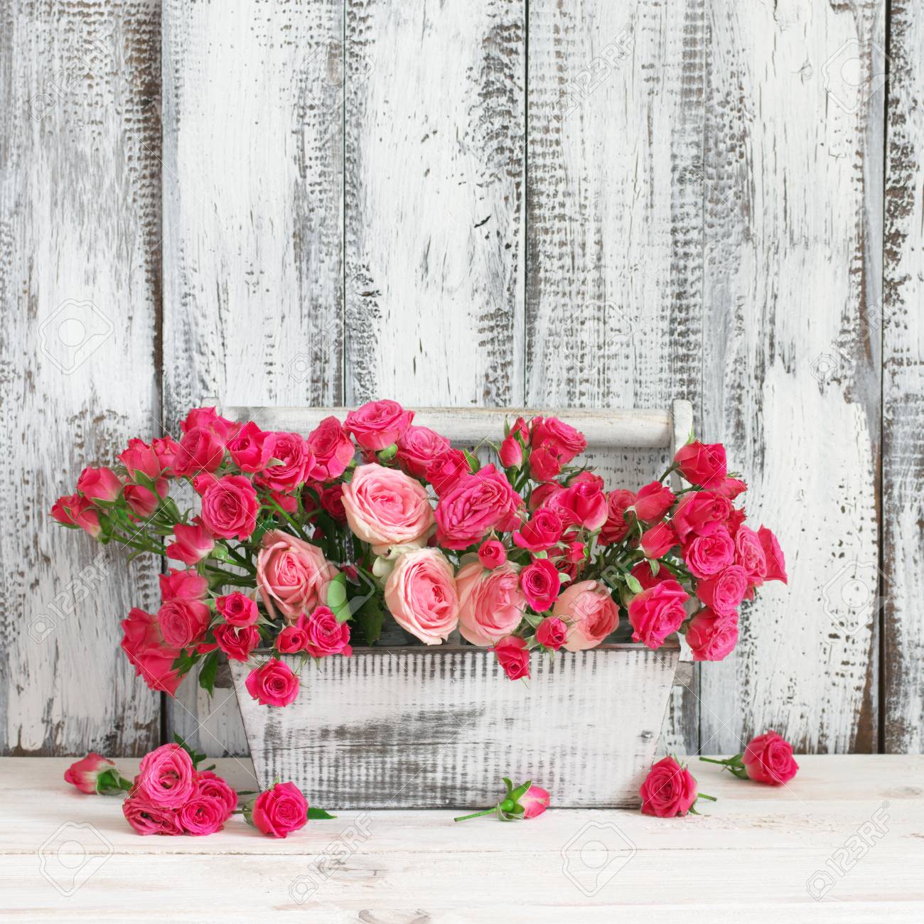 Bouquet of crimson and pink spray roses in wood box on white..