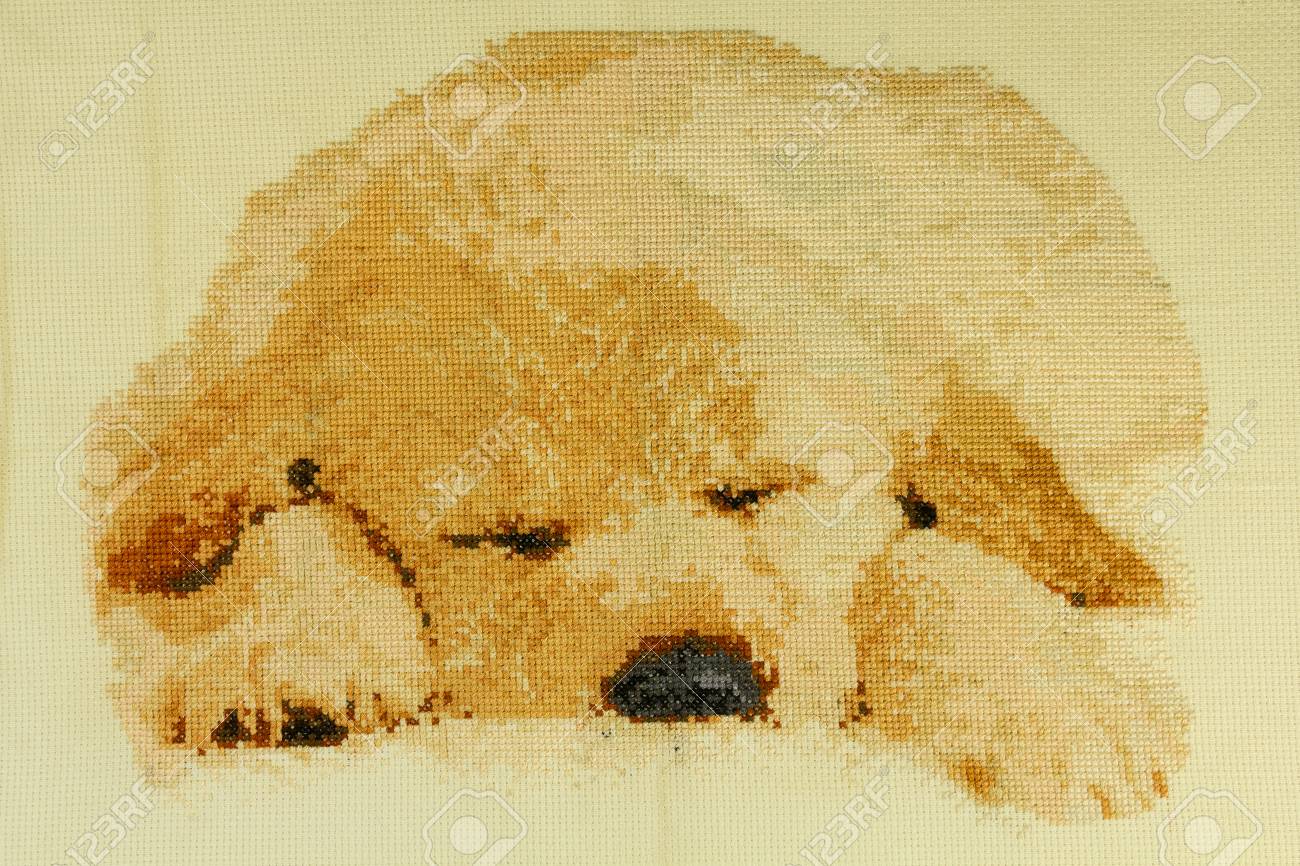 手作りクロスステッチ かわいい子犬ラブラドール は 私自身の仕事です の写真素材 画像素材 Image