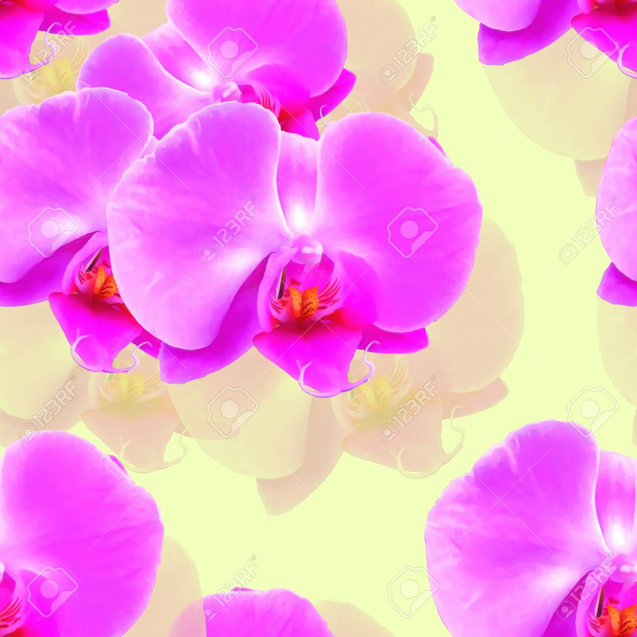 蘭の花 胡蝶蘭 花のテクスチャー 連続レプリケーションのシームレスなパターン 花の背景 繊維 コットン生地の生産のための写真のコラージュ 壁紙の使用をカバーします の写真素材 画像素材 Image 蘭の花 胡蝶蘭 花のテクスチャー 連続レプリケーションのシームレスなパターン 花の背景 繊維 コットン生地の生産のための写真のコラージュ 壁紙の使用をカバーします の写真素材 画像素材 Image