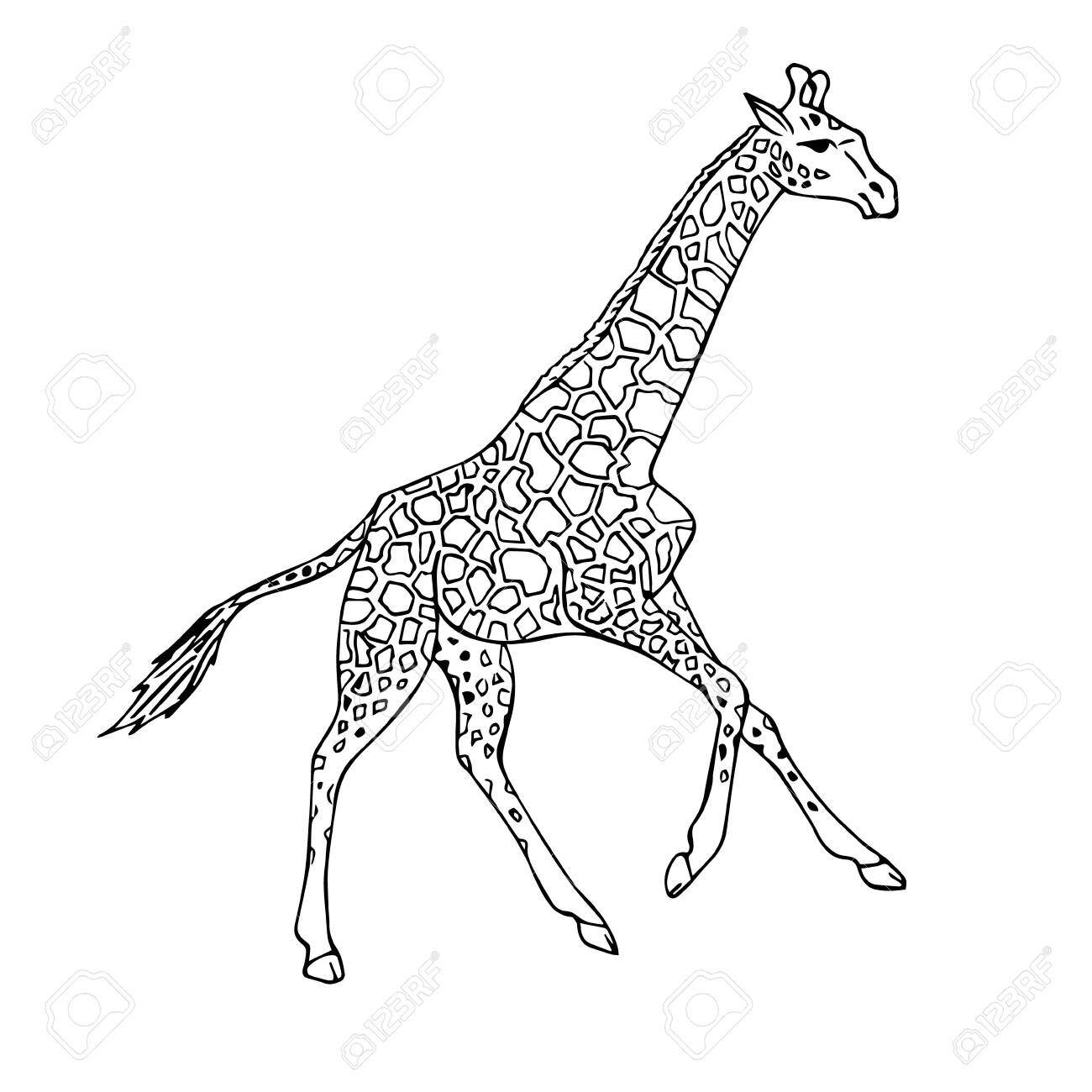 running giraffe clipart jpg