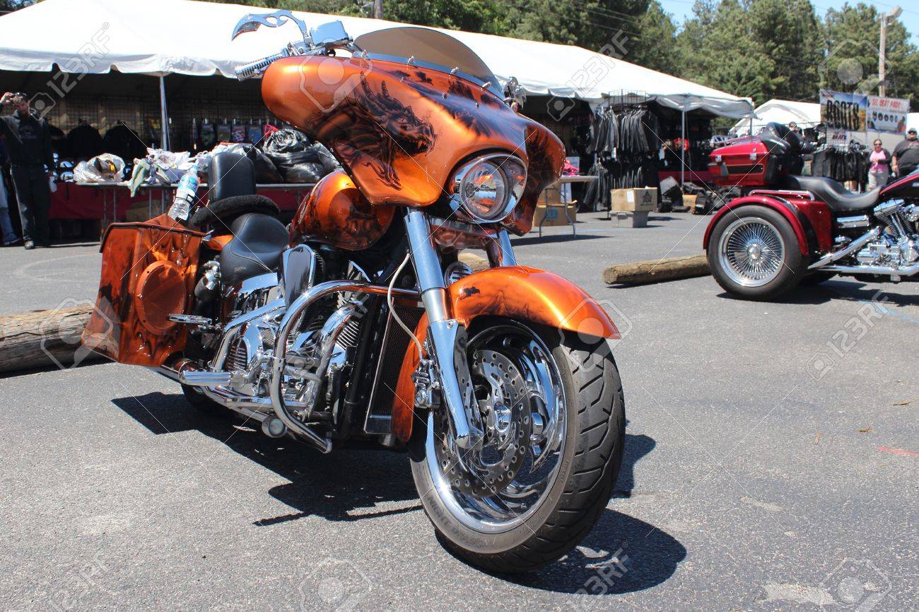 custom harley bags