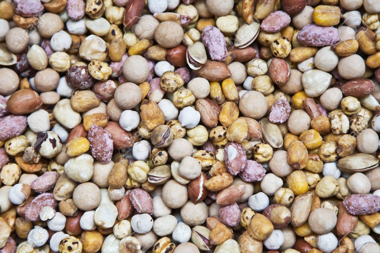 etiam-dictum-ipsum-a-felis