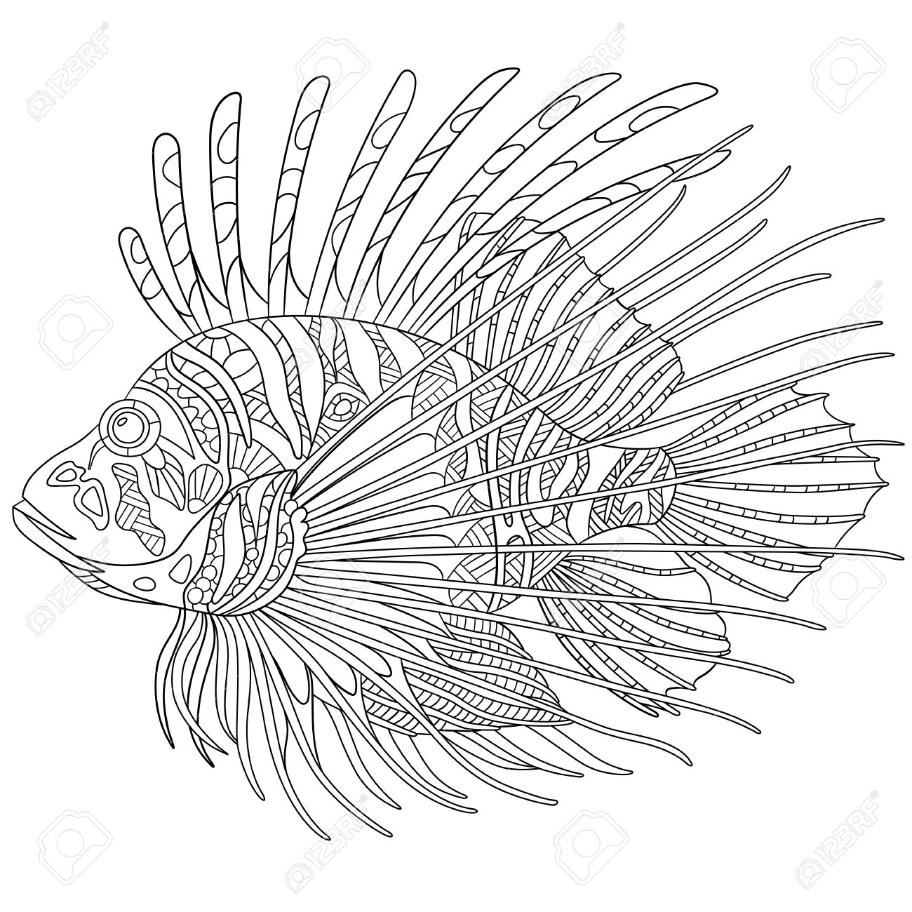 Stylized Cartoon Zebrafish Lionfish Pterois Volitans Isolated On White Background Sketch For Adult Antistress Coloring Page Doodle Elements For Coloring Book Royalty Free Cliparts Vectors And Stock Illustration Image 53243948