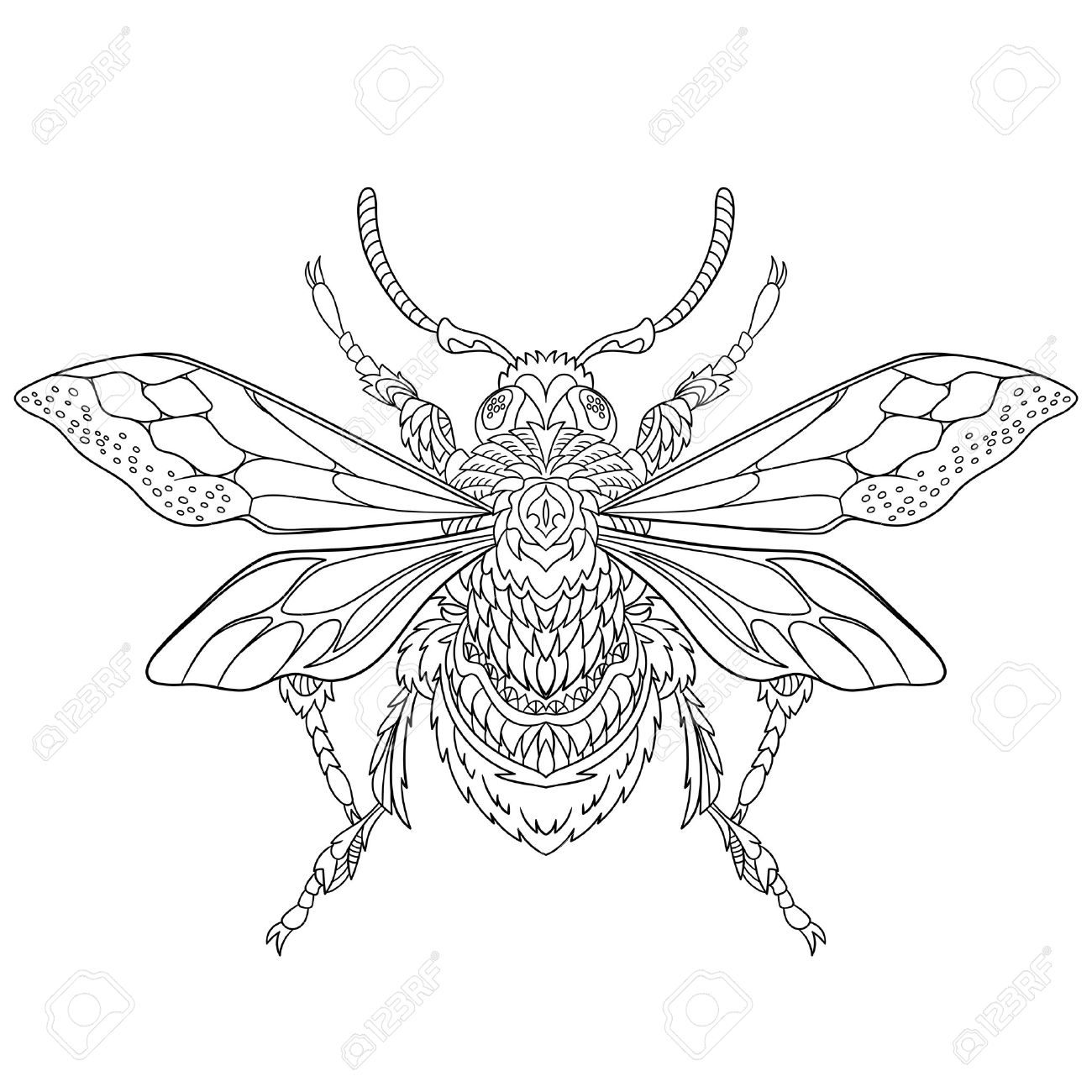 Stylise Dessin Anime Insecte Coleoptere Isole Sur Fond Blanc Esquisse Pour Antistress Adulte Coloriage Griffonnage Elements De Design Floral Pour Livre De Coloriage Clip Art Libres De Droits Vecteurs Et Illustration