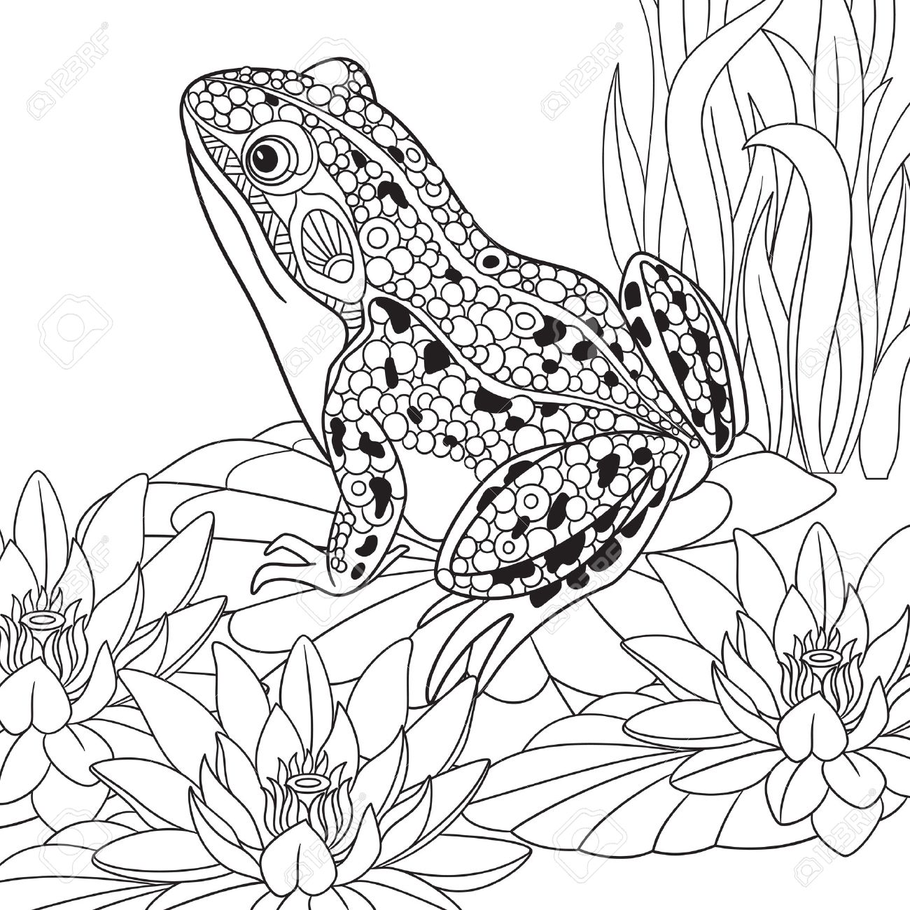 Grenouille De Bande Dessinee Stylisee Zentangle Assis Parmi Les Fleurs De Lotus Nenuphars Esquisse Pour Antistress Adulte Coloriage Main Doodle Dessine Zentangle Elements De Design Floral Pour Livre De Coloriage Clip Art