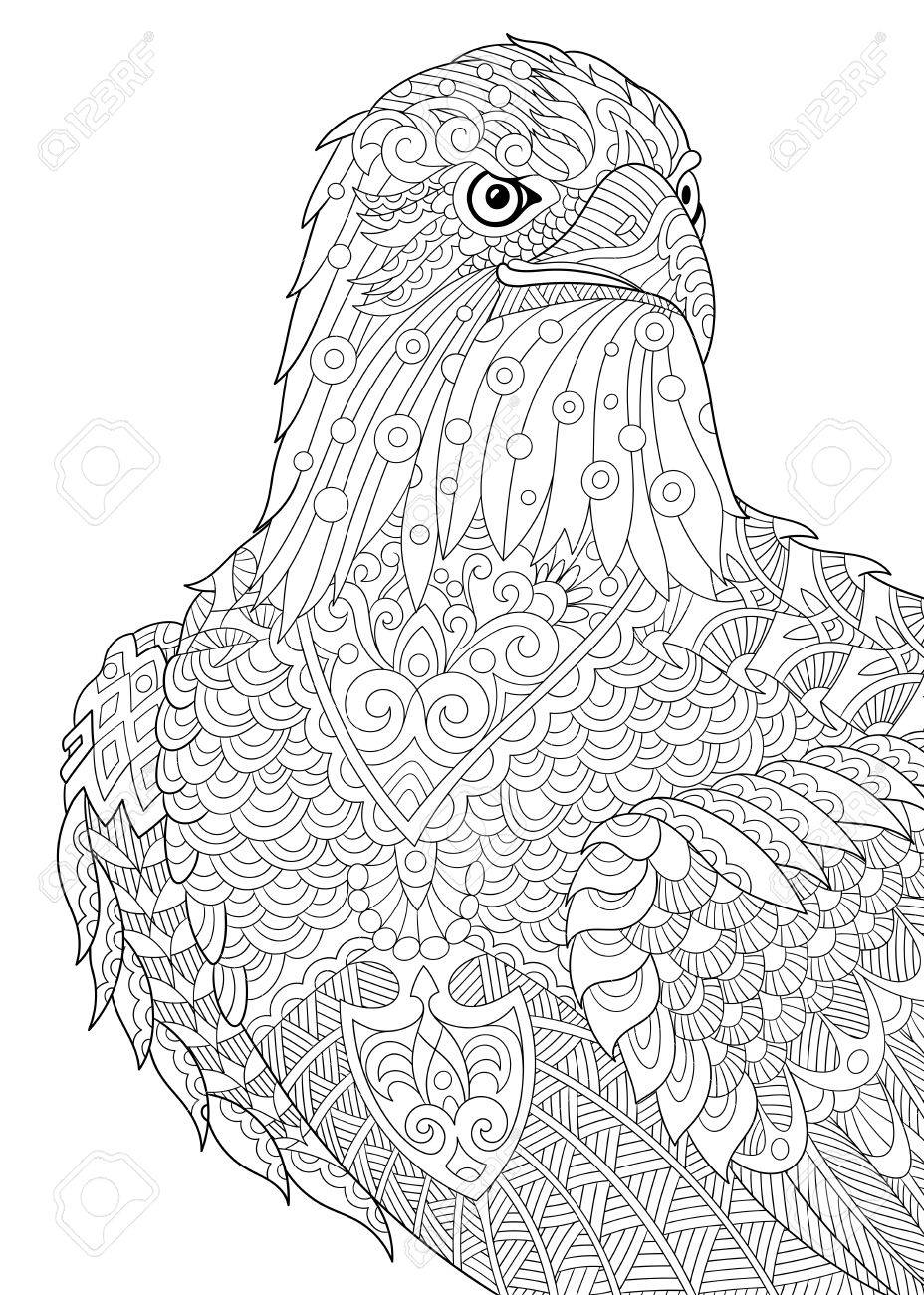 Stylized Cartoon Eagle Of Prairie Hawk Falcon Osprey Sketch For Adult Antistress Coloring Book Page T Shirt Emblem Tattoo With Doodle Floral Design Elements Royalty Free Cliparts Vectors And Stock Illustration Image 60323963