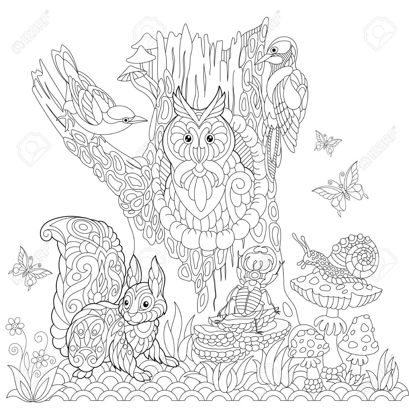 Coloring Book Page Of Forest Landscape Owl Cuckoo Bird Woodpecker Squirrel