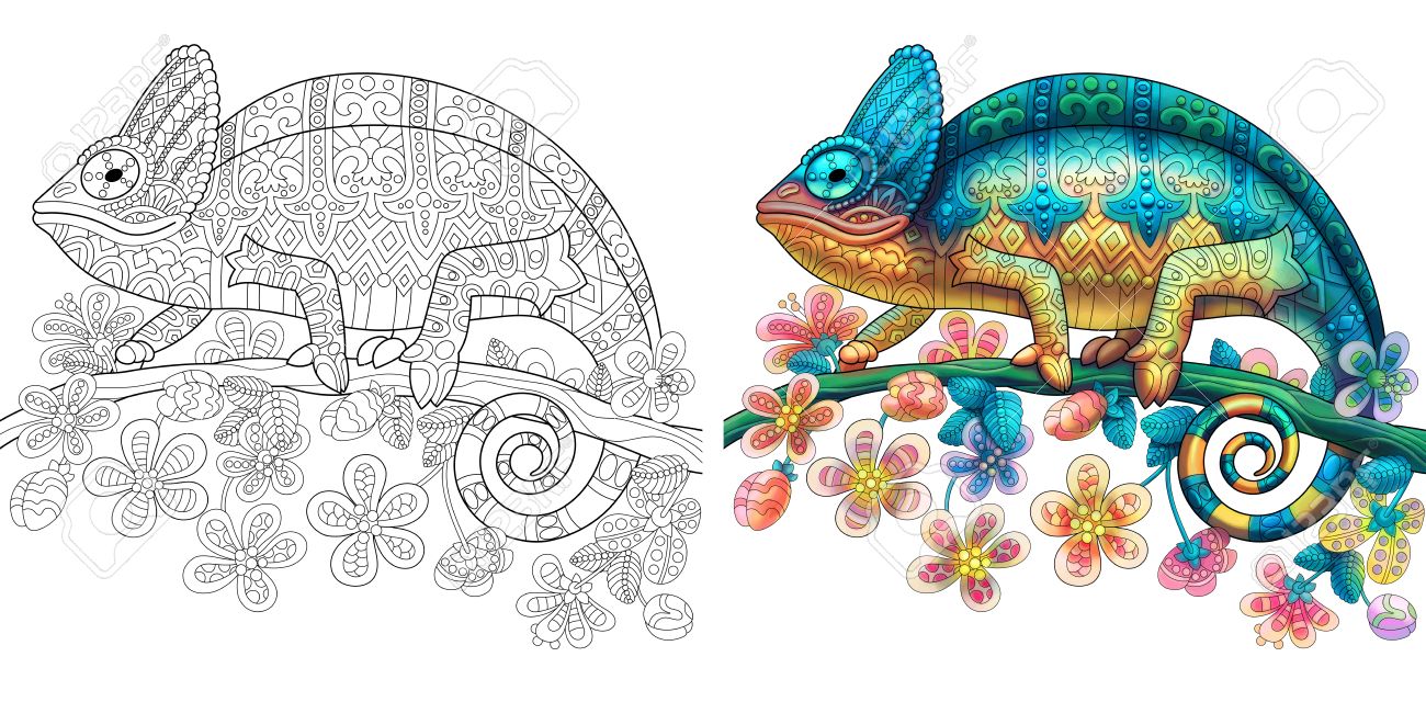 coloring page of chameleon