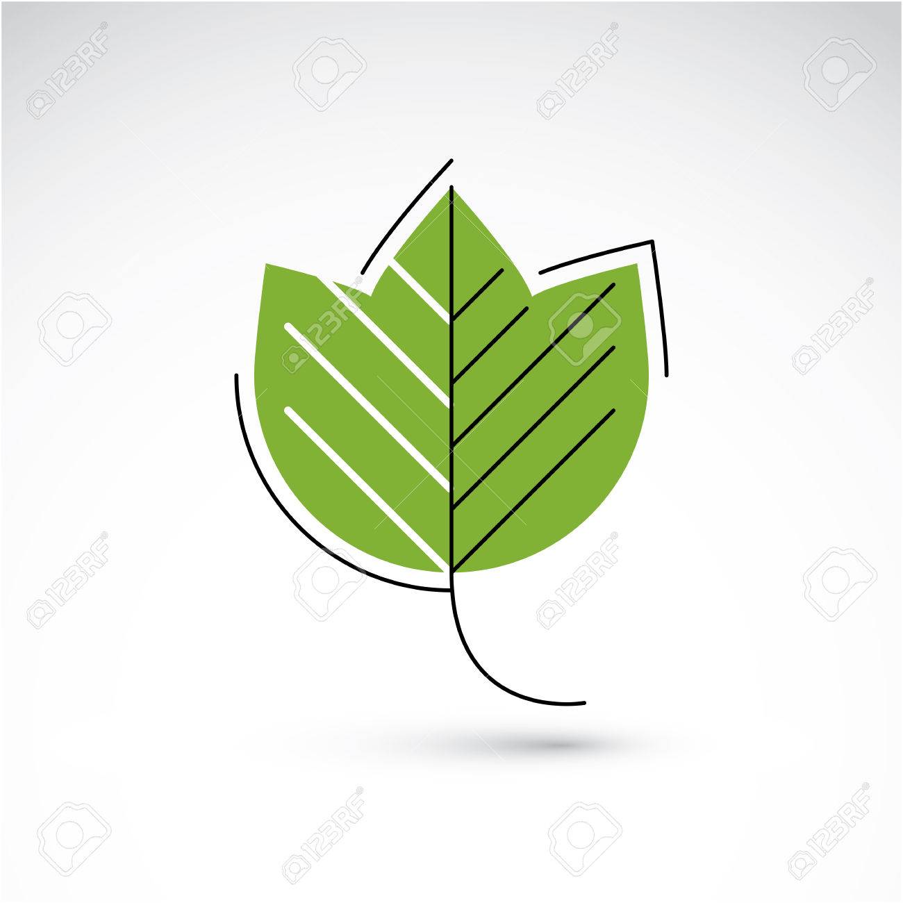 緑のカエデの葉の白い背景で隔離のベクター イラストです 描画の簡単な性質デザイン要素 グラフィック シンボルの生態学をテーマに作られました のイラスト素材 ベクタ Image