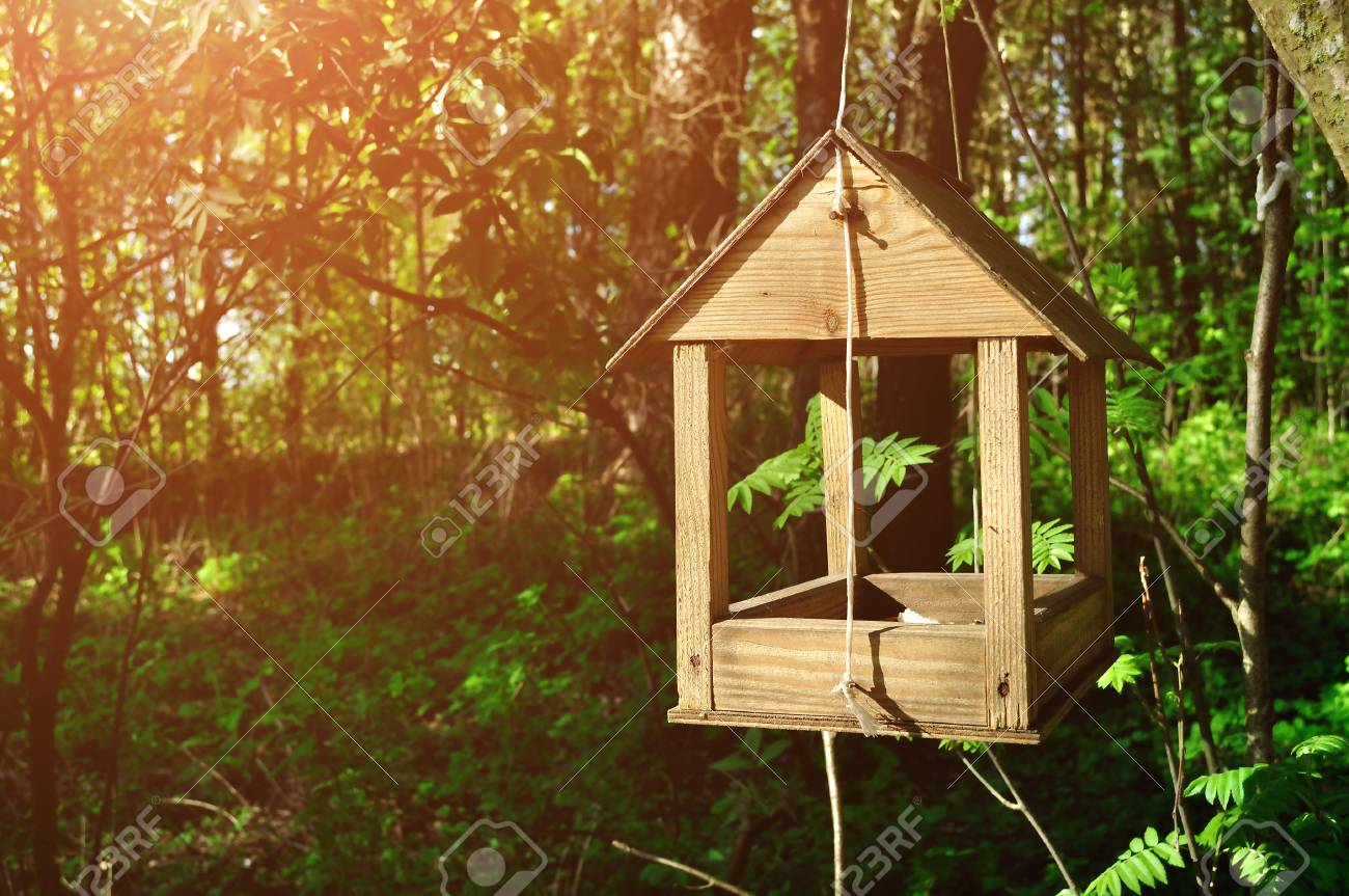 Mangeoire à Oiseaux En Bois à La Main Sous Forme De Petite Maison Pendu Sur La Corde Dans La Forêt