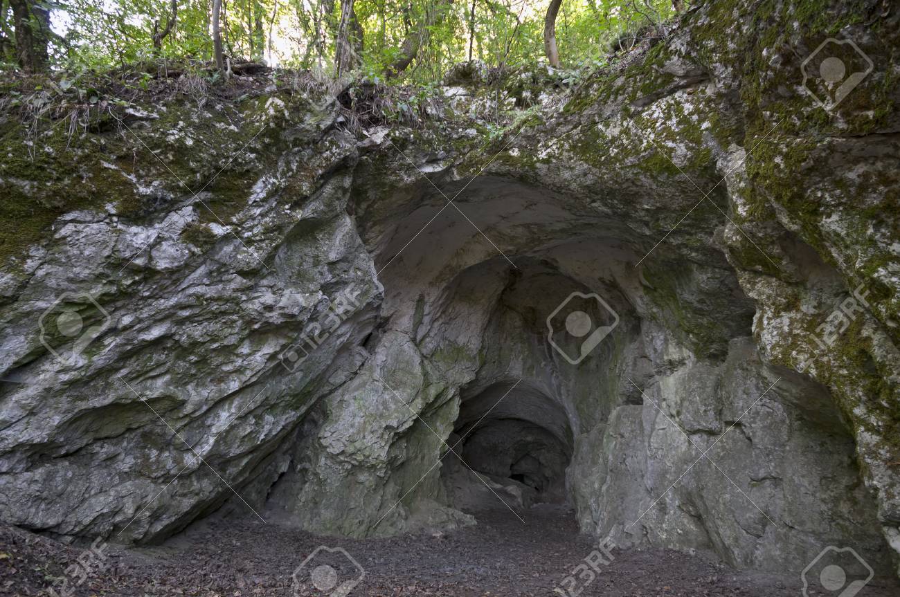 それ以上の木の影で巨大な洞窟の入り口 の写真素材 画像素材 Image