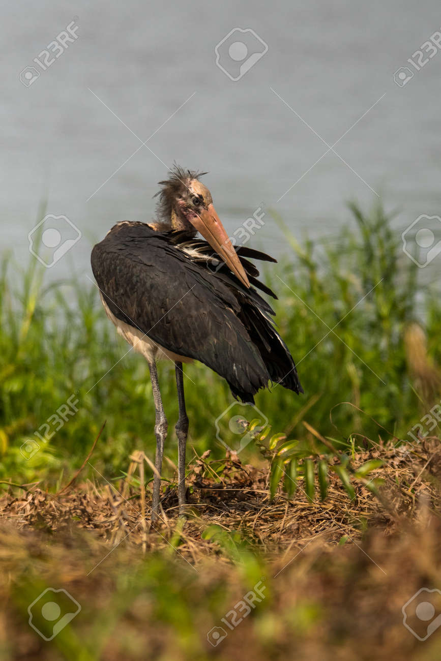 etiam-dictum-ipsum-a-felis