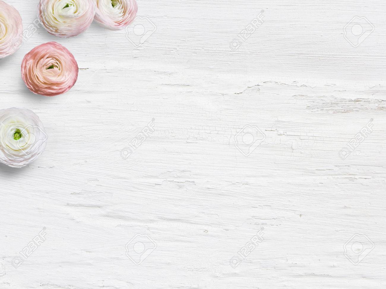Styled stock photo. Feminine desktop mockup with buttercup flowers, Ranunculus, empty space and shabby white background. Top view. Picture for blog or social media. - 70051401 Styled stock photo. Feminine desktop mockup with buttercup flowers, Ranunculus, empty space and shabby white background. Top view. Picture for blog or social media. - 70051401