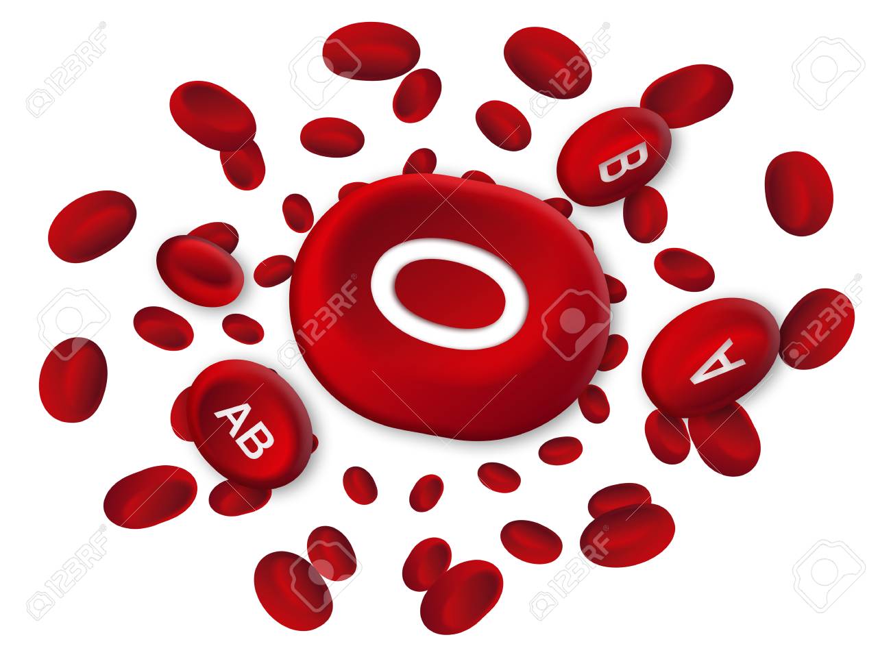 高詳細に赤血球のイラスト の写真素材 画像素材 Image