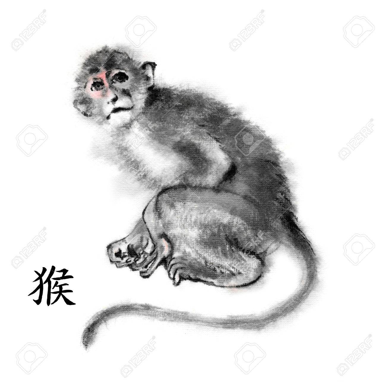 Monkey Oriental Ink Painting With Chinese Hieroglyph &quot;monkey&quot;. Isolated On White Background. Symbol Of The New Year Of Monkey. Stock Photo, Picture And Royalty Free Image. Image 48448720.