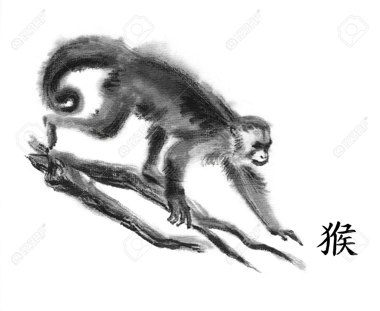 Monkey Oriental Ink Painting With Chinese Hieroglyph "monkey". Gracile Capuchin Walking On Tree Branches. Isolated On White Background Symbol Of The New Year Of Monkey. Stock Photo, Picture And Royalty Free Image.