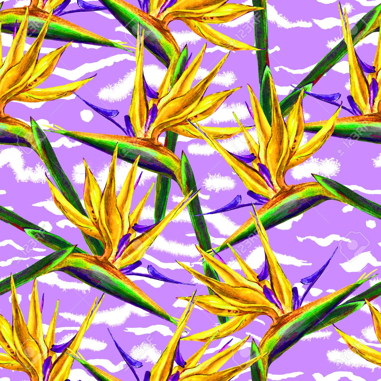 Motif De Fleurs Sans Couture Doiseau De Paradis Aquarelle Peinte à La Main Fleurs Exotiques De Strelitzia Sur Fond Violet Rayures Swirly Design