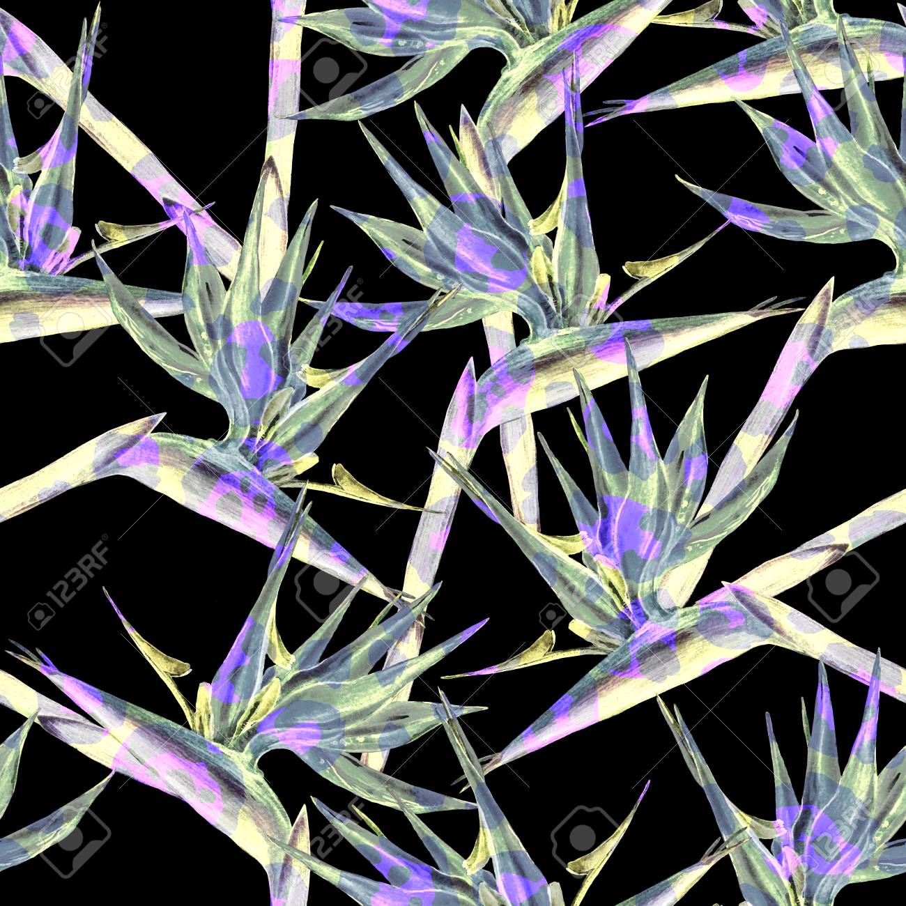 Motif De Fleurs Doiseau De Paradis Sans Soudure Peint à La Main Des Fleurs Exotiques Aquarelles De Strelitzia Sur Fond Noir Couleurs Vives