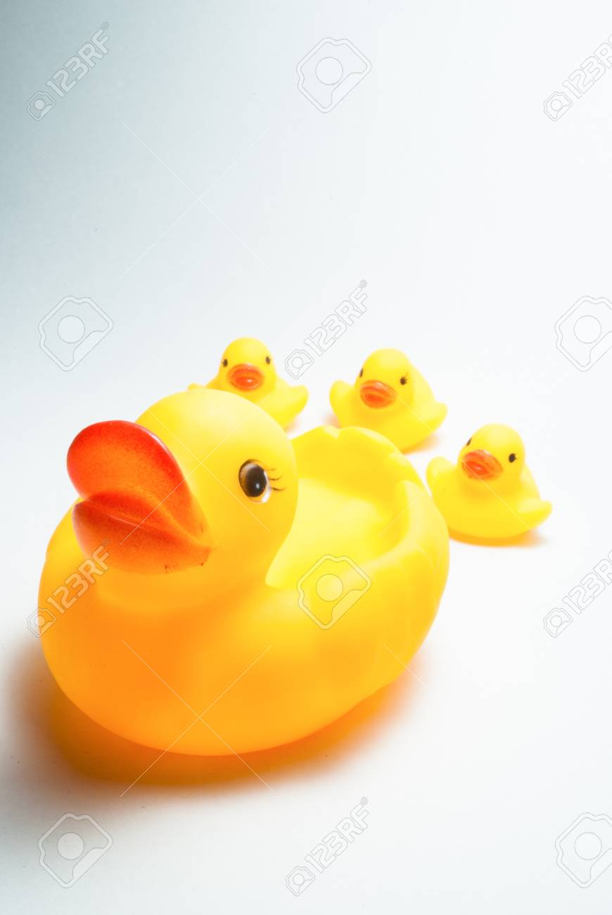 アヒルの家族の子供と母 の写真素材 画像素材 Image