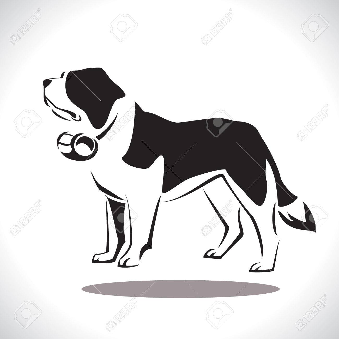 St. Bernard Rescue Dog. Vector Illustration Stock Photo, Picture and  Royalty Free Image. Image 34028864., image size:1300x1300