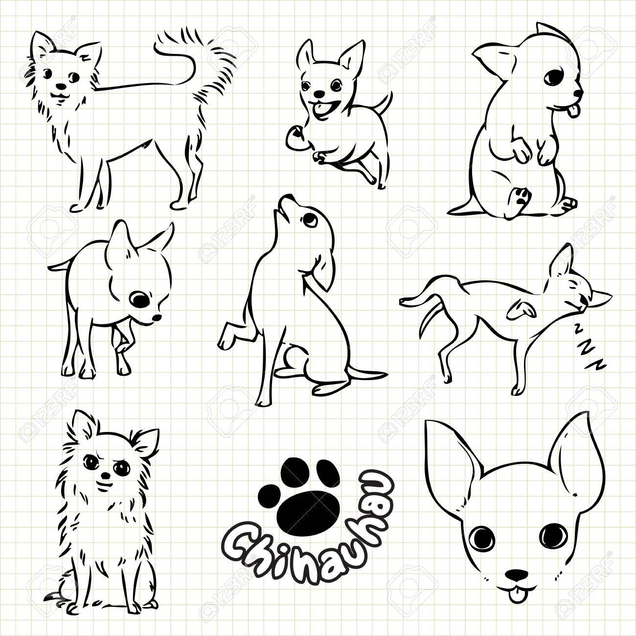 drawing grid paper