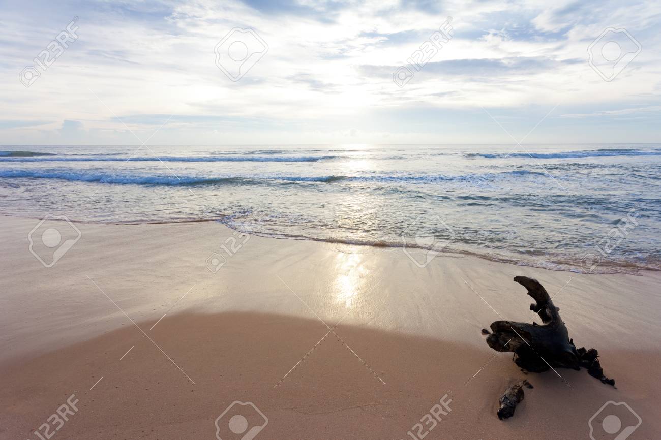 Asie Sri Lanka Ahungalla La Ou La Nature Est Toujours Belle Et Apaisante Banque D Images Et Photos Libres De Droits Image