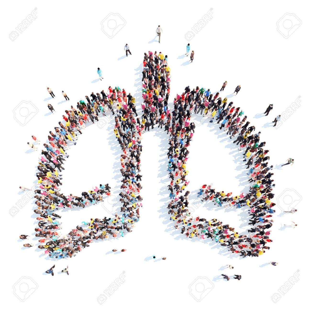 A large group of people in the form of the human lungs. Isolated, white background. - 41244339 A large group of people in the form of the human lungs. Isolated, white background. - 41244339