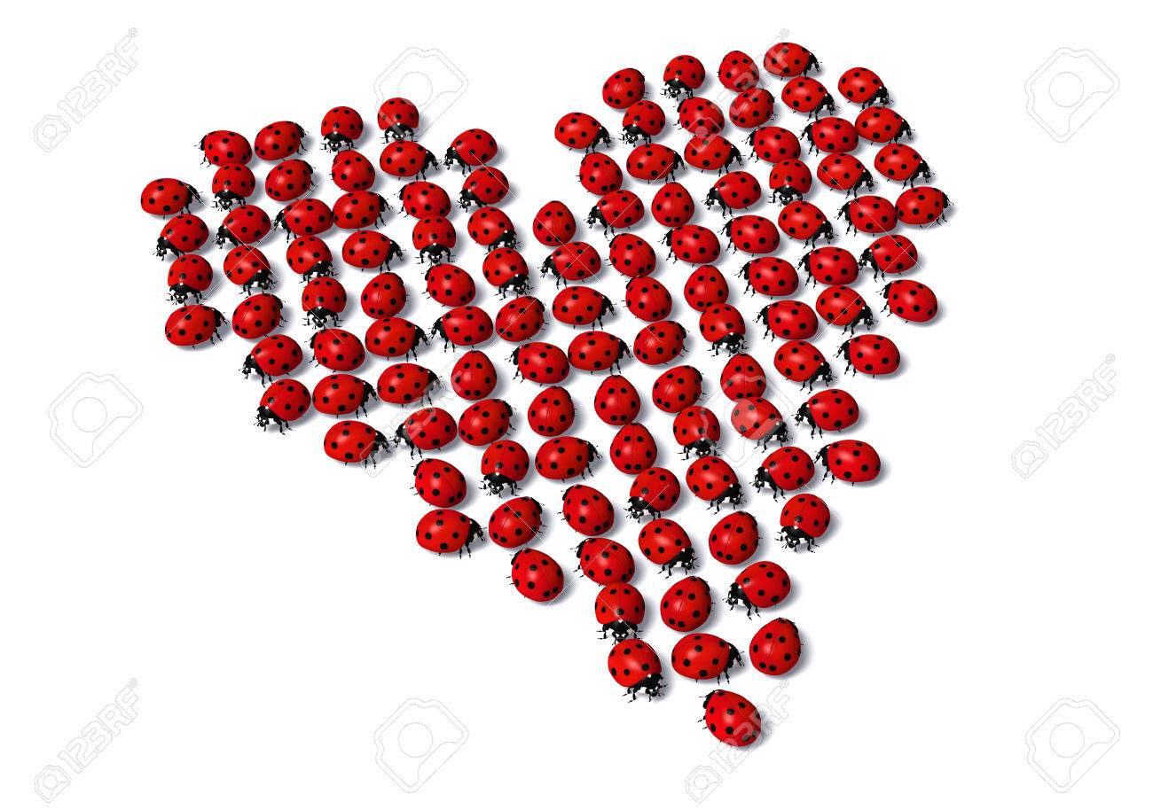 ランダムな方向を指しているいくつかのてんとう虫のグループは心臓の形を形成するまとめ の写真素材 画像素材 Image