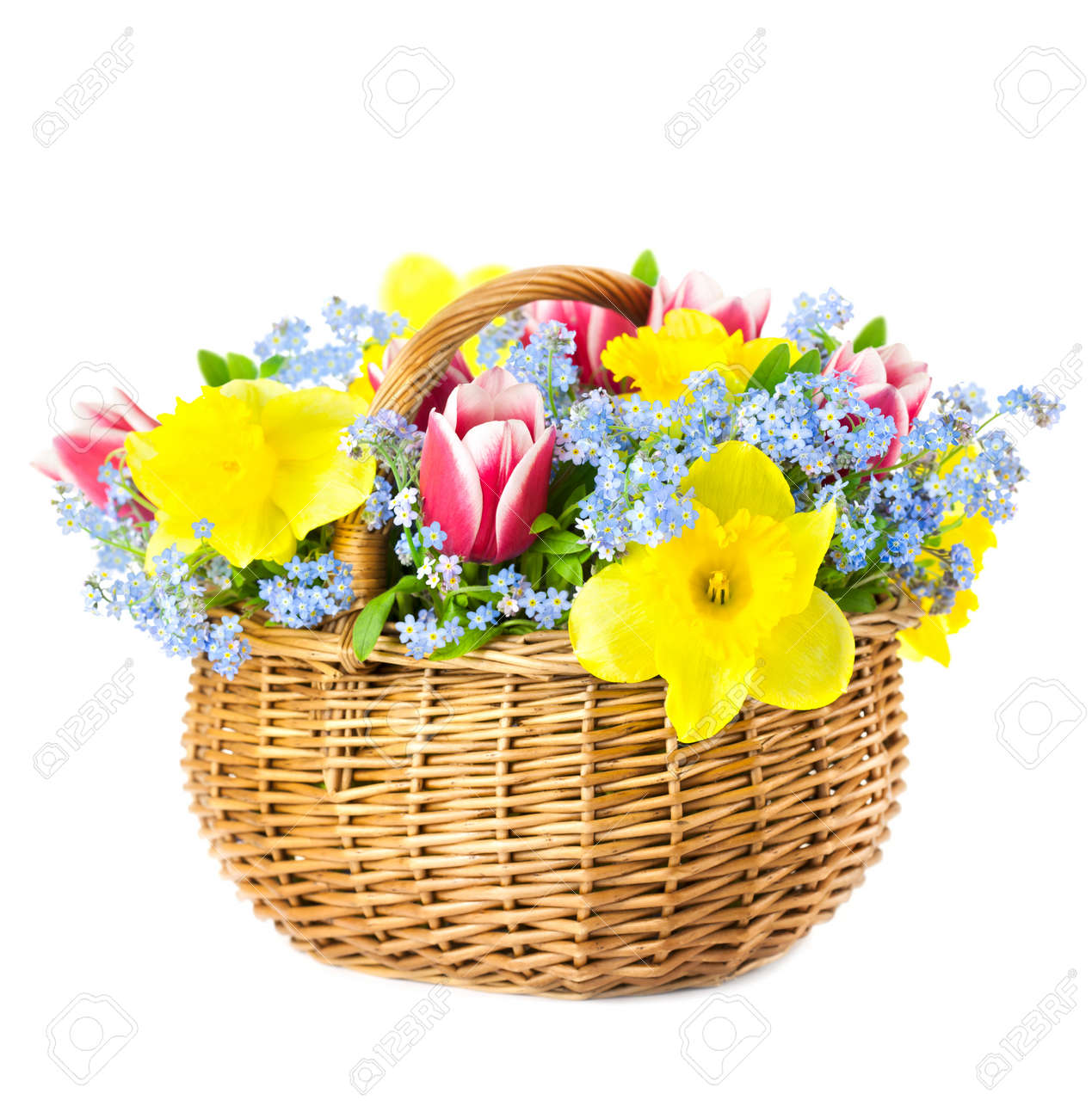 美しい花束の春の花のバスケットに白い背景で隔離された の写真素材 画像素材 Image