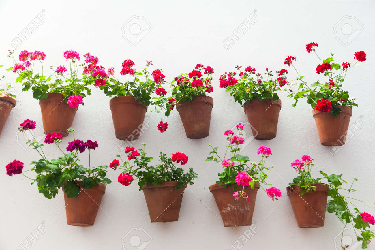Blumentöpfe Und Rote Blume Auf Eine Weiße Wand Mit Kopie Platz Für ... Blumentöpfe Und Rote Blume Auf Eine Weiße Wand Mit Kopie Platz Für ...