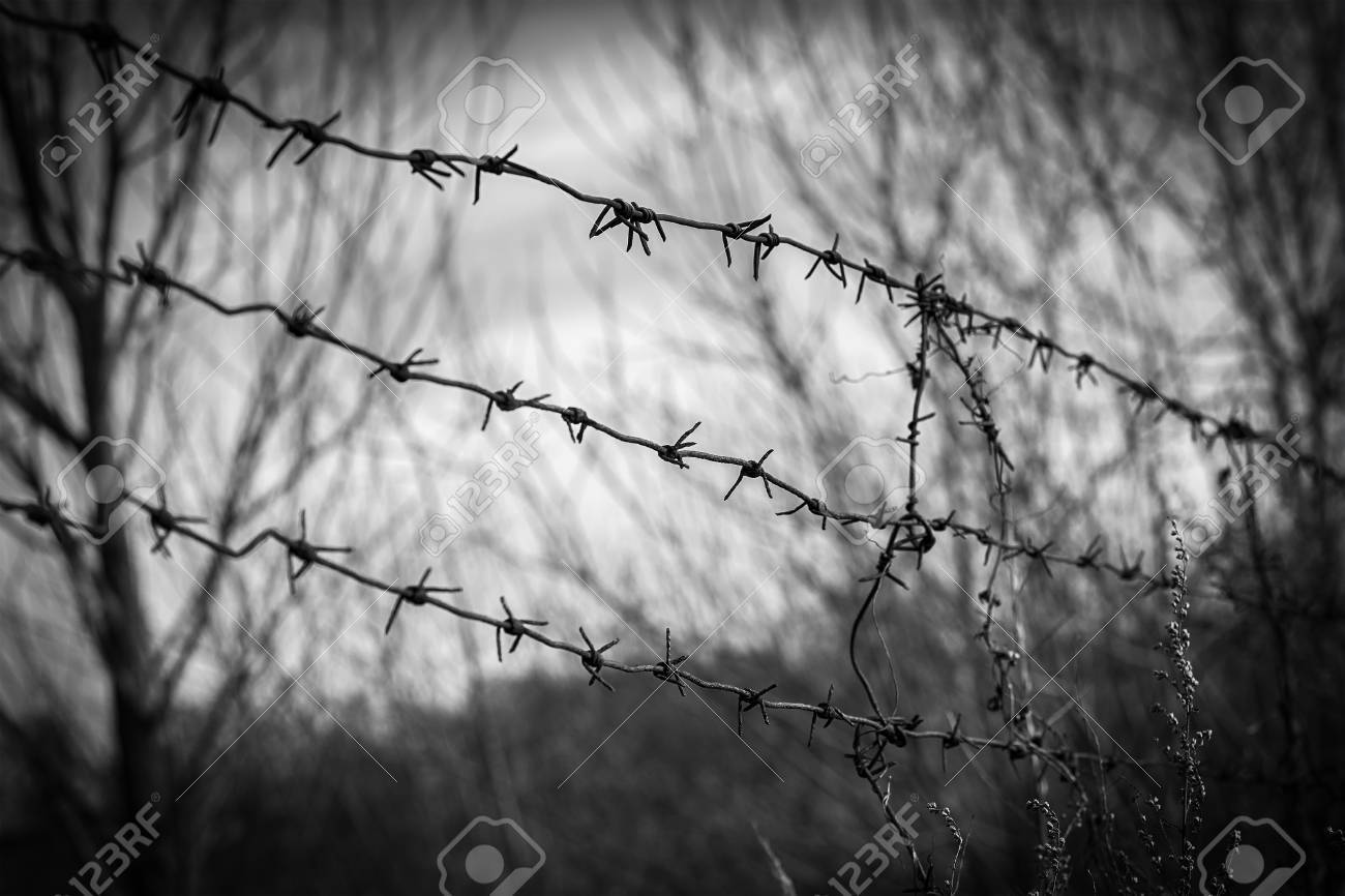 metal rusty barbed wire border with thorns vintage black and