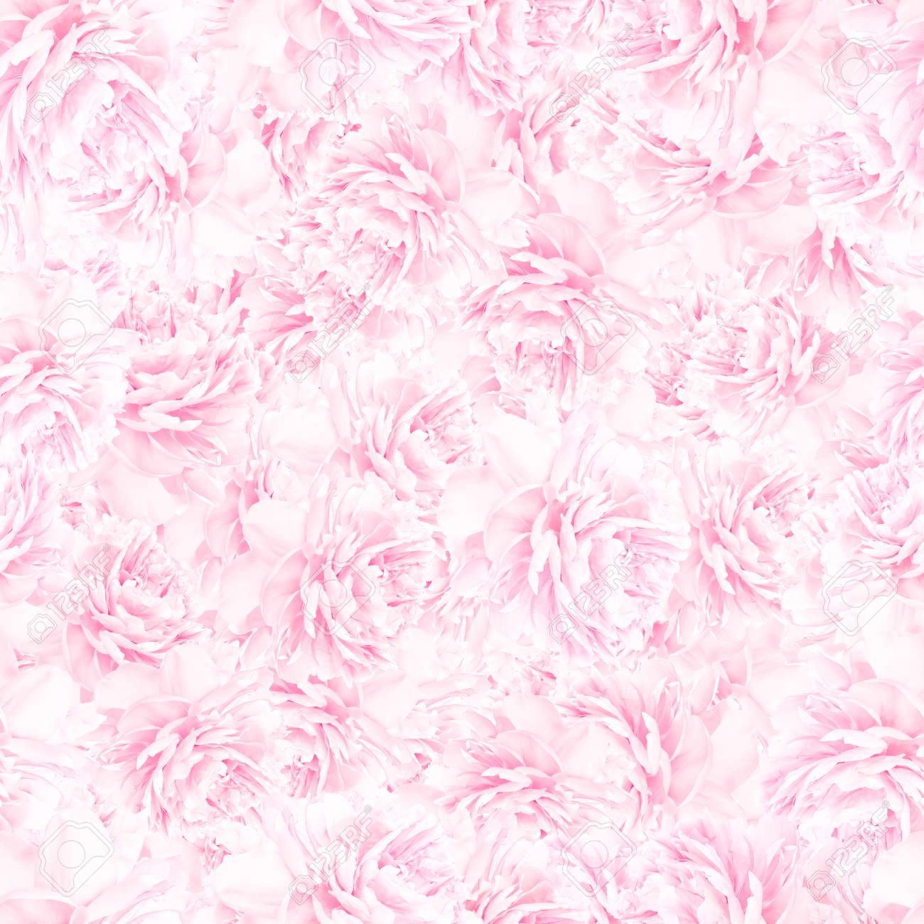seamless pattern of light pink peony blossoms floral print