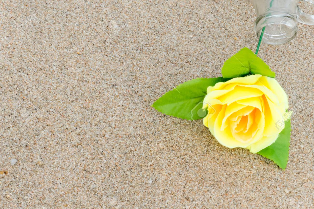 Bouchent La Fleur Rose Jaune Dans La Bouteille Sur Un Fond De Sable De Plage Fond Damour De Lété