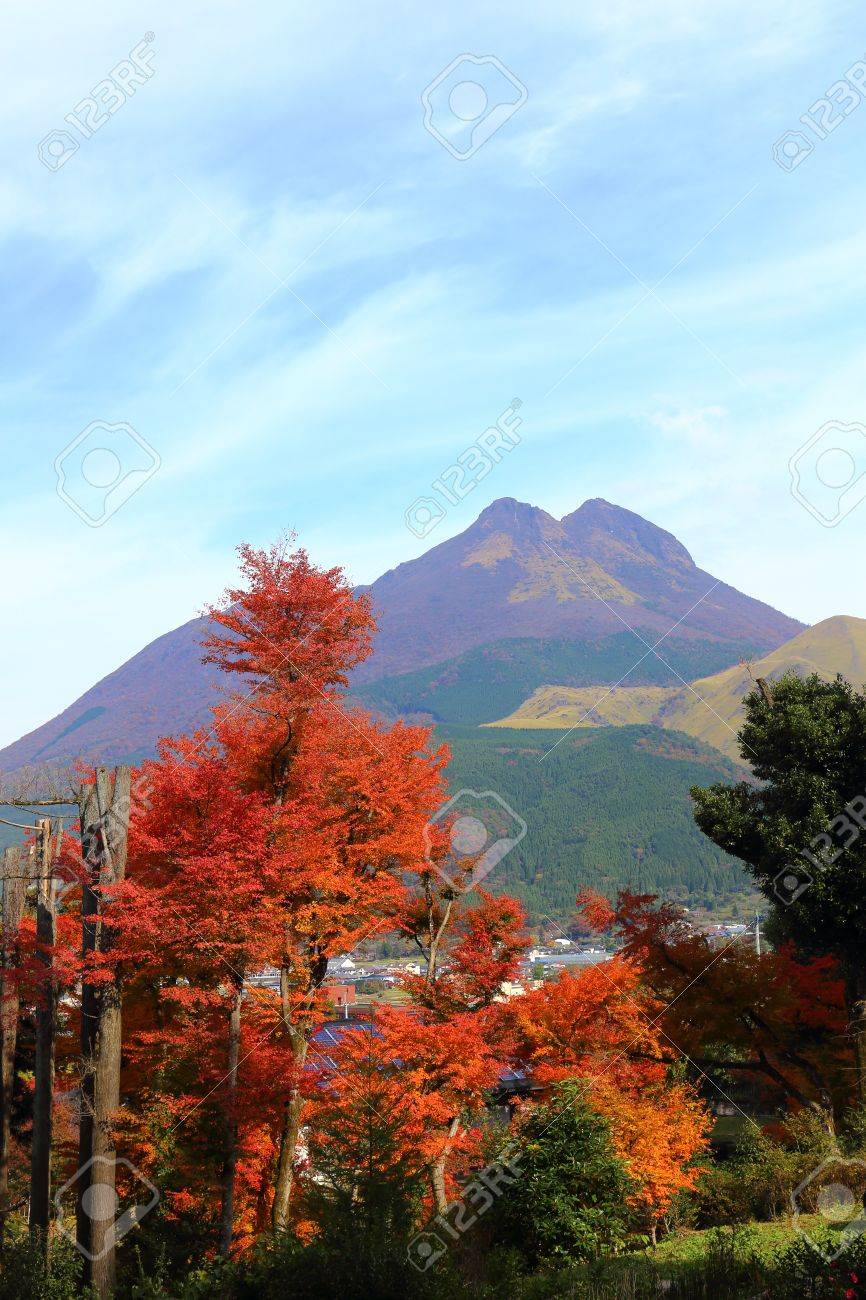 由布岳と湯布院の紅葉 の写真素材 画像素材 Image