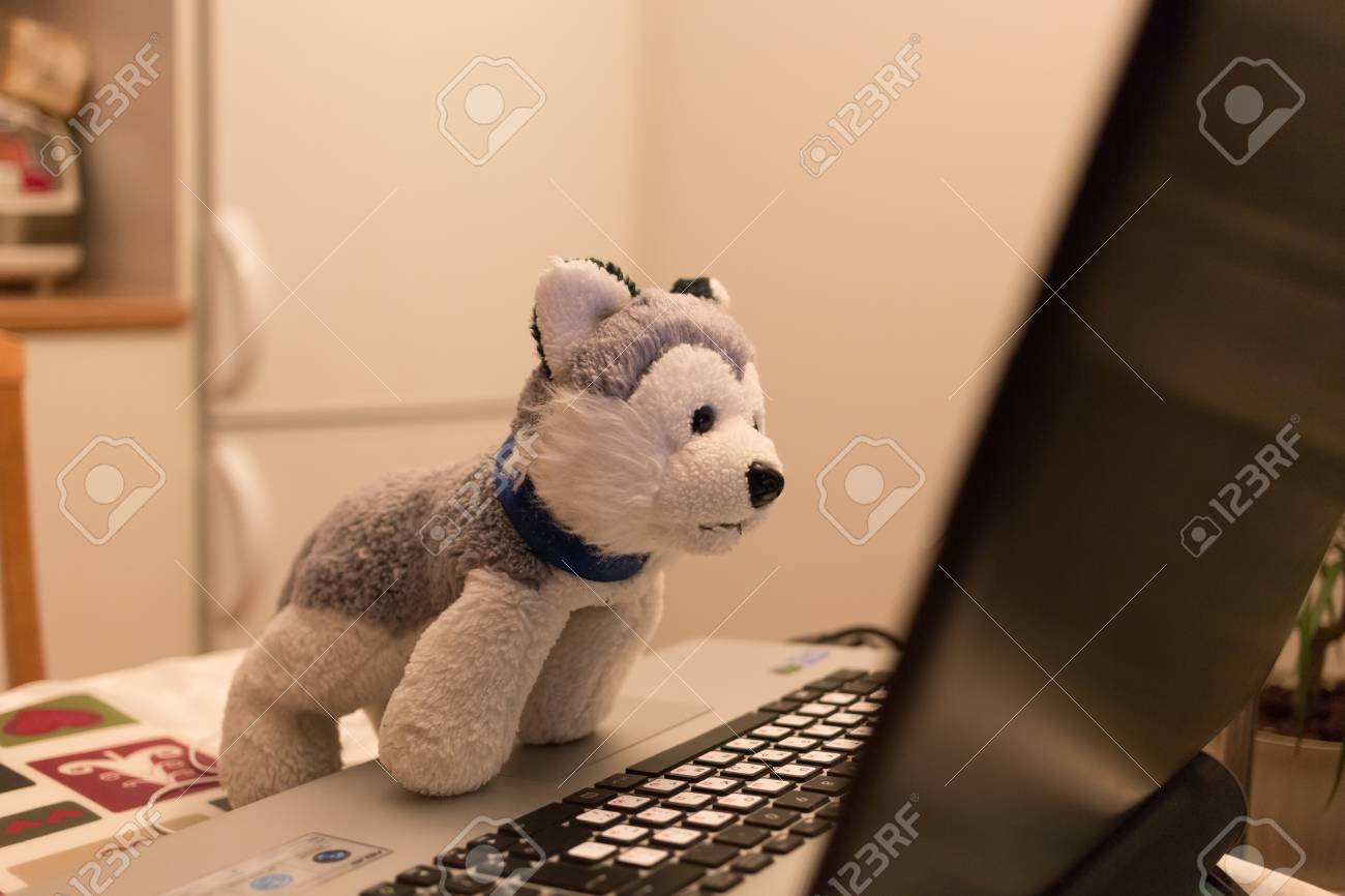 plush laptop dog toy