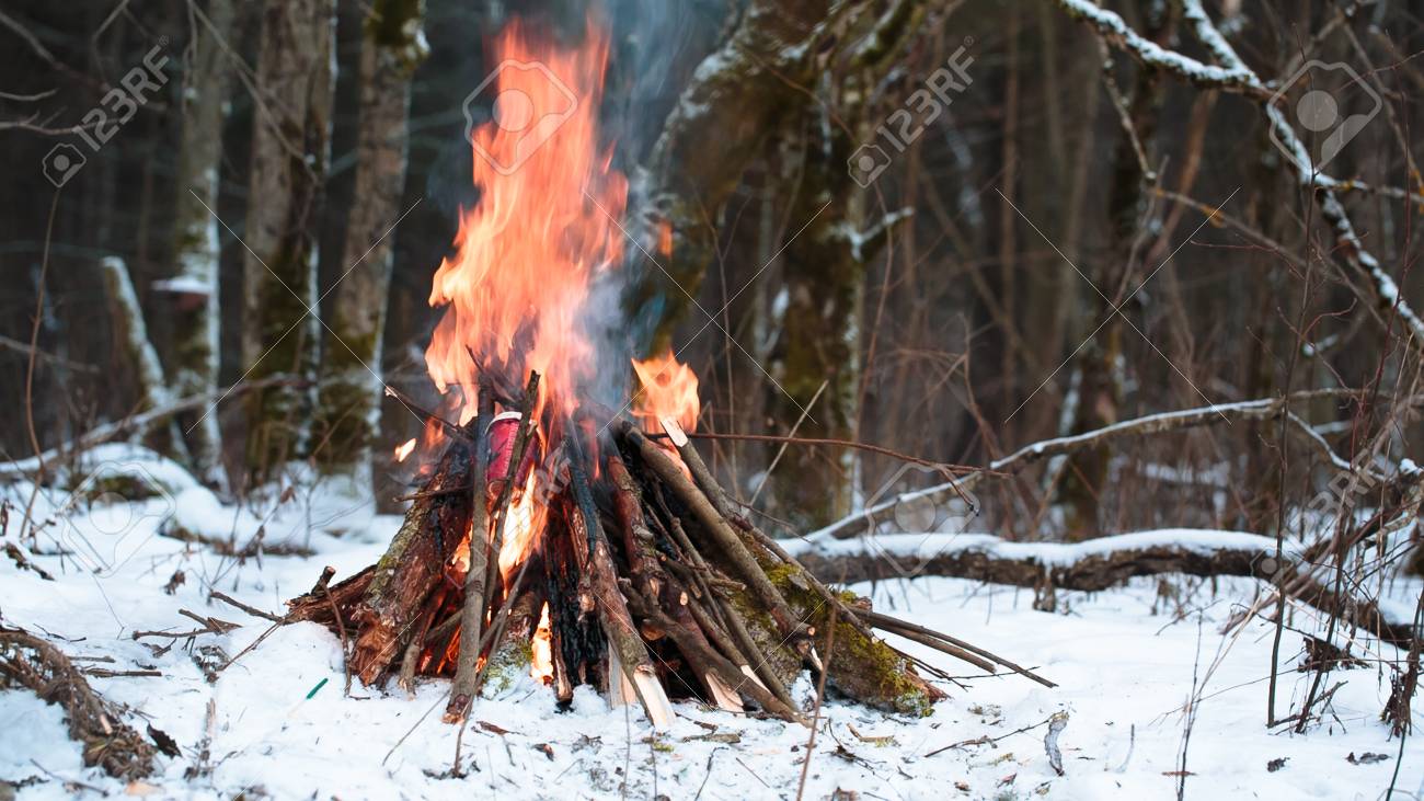 Grand Feu De Camp Dans La Foret D Hiver Banque D Images Et Photos Libres De Droits Image