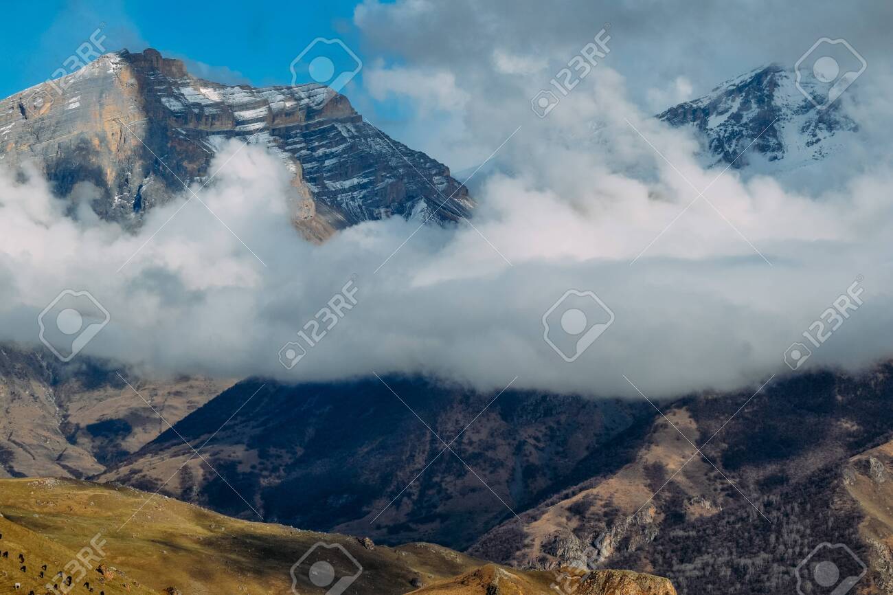 etiam-dictum-ipsum-a-felis