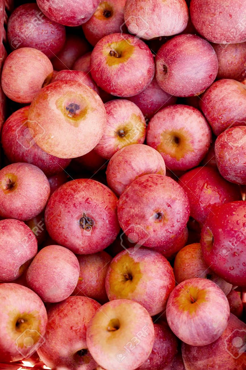 りんご形 ココット イタリア産 【公式通販】