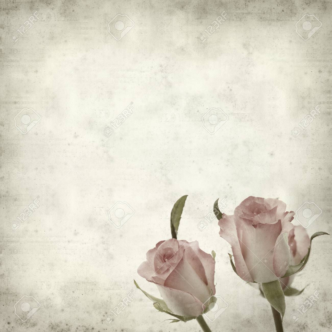 Texturé Vieux Fond De Papier Avec Pik Douce Fleur Rose