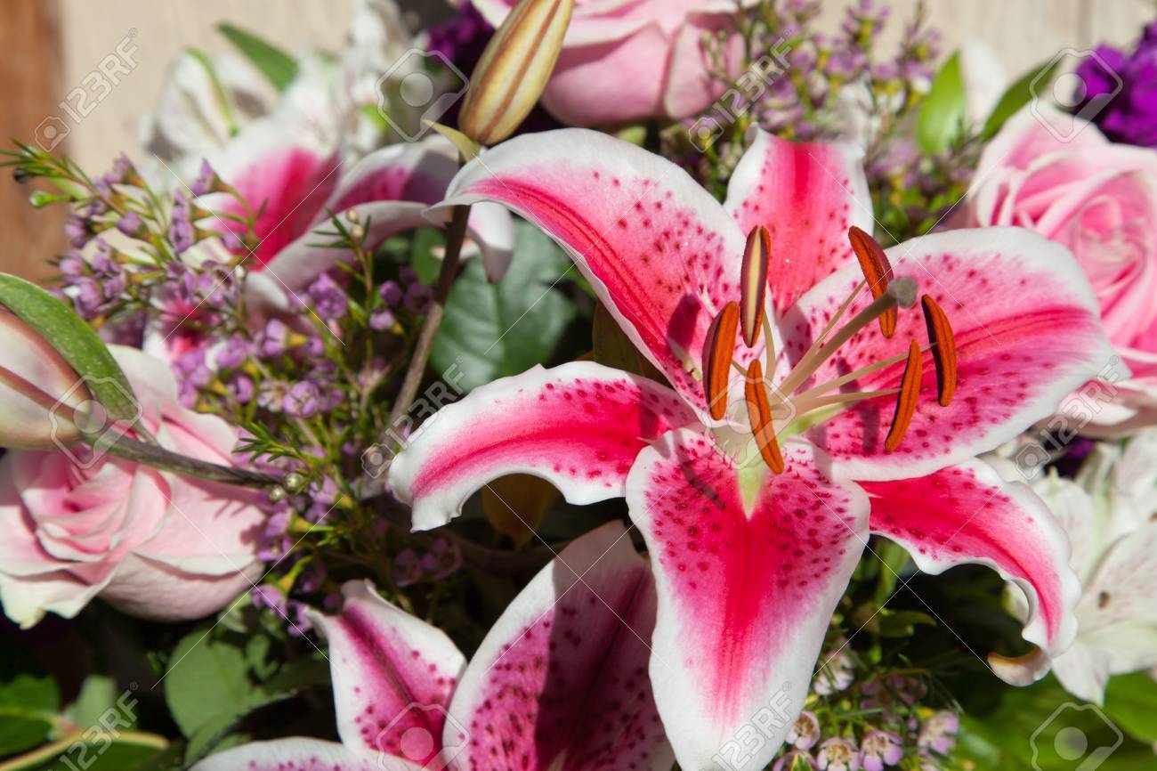 Une Fleur De Lys Rose Et Blanc Dans Un Beau Bouquet De Fleurs éclairées Par Le Soleil
