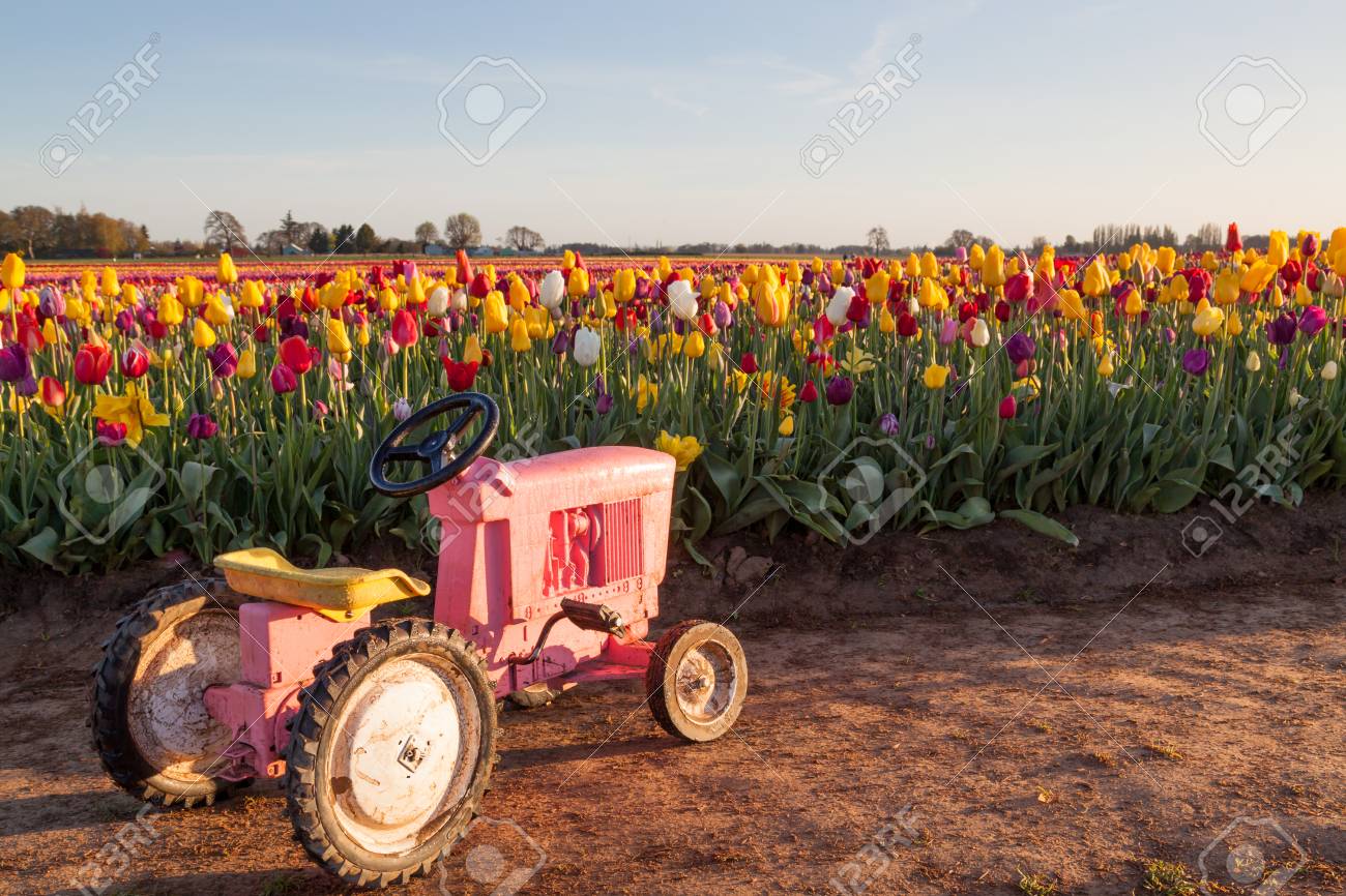 pink tractor toy small