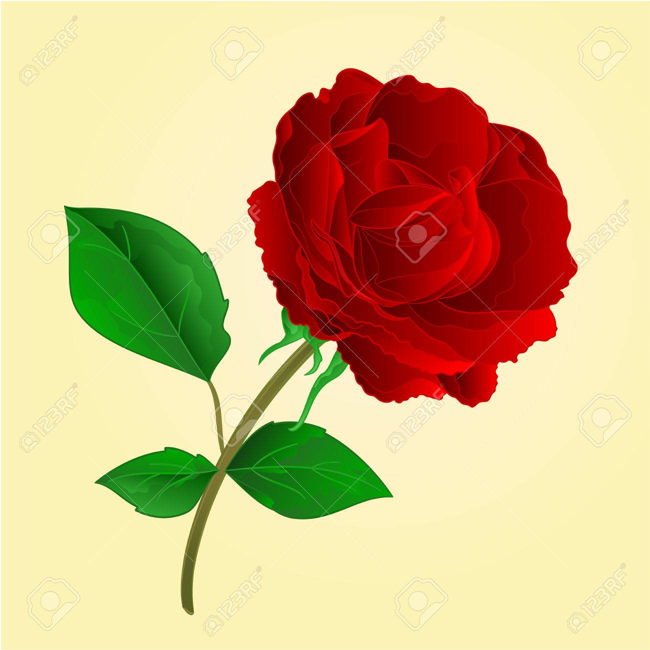 花小枝紫のバラと蕾ビンテージ ベクトル イラストのイラスト素材 ベクタ Image