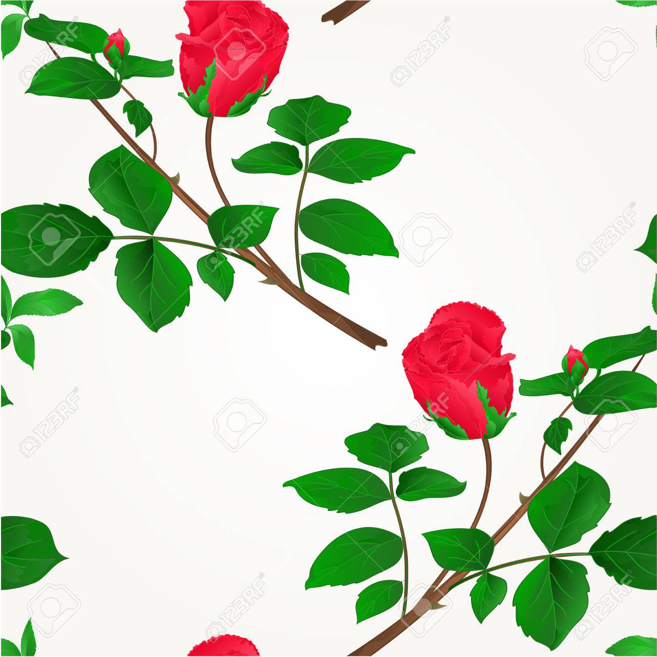 赤いバラのつぼみ茎の葉と花のイラスト のイラスト素材 ベクタ Image