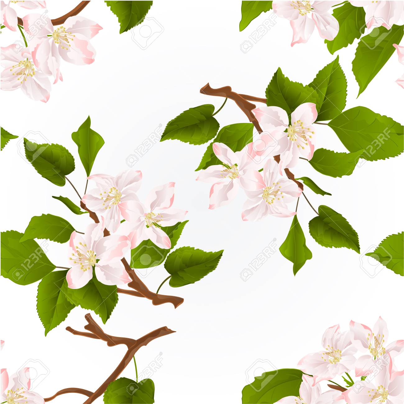 View Apple Tree Flowers Drawing Pics