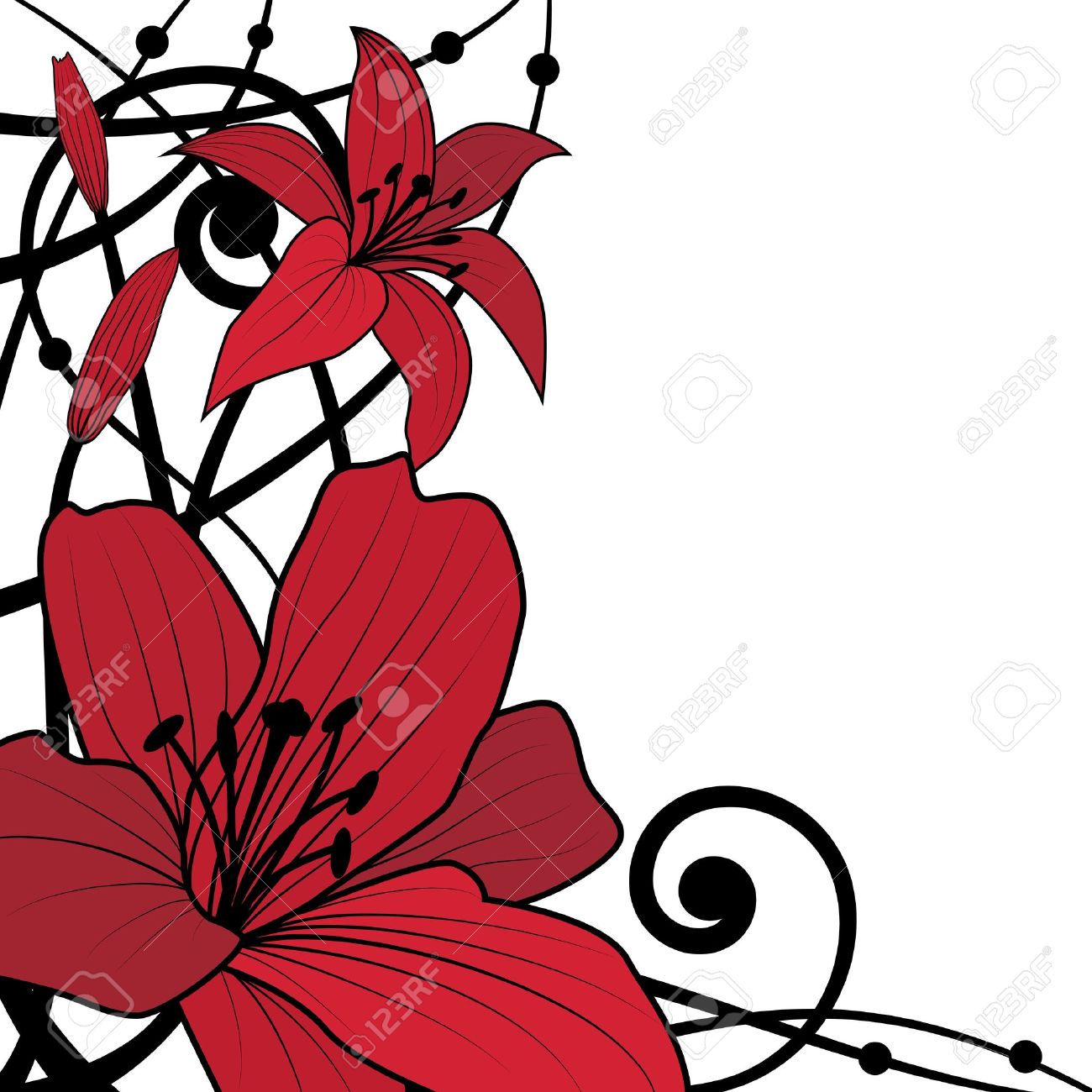 黒と赤の色でユリのベクトルの背景 のイラスト素材 ベクタ Image