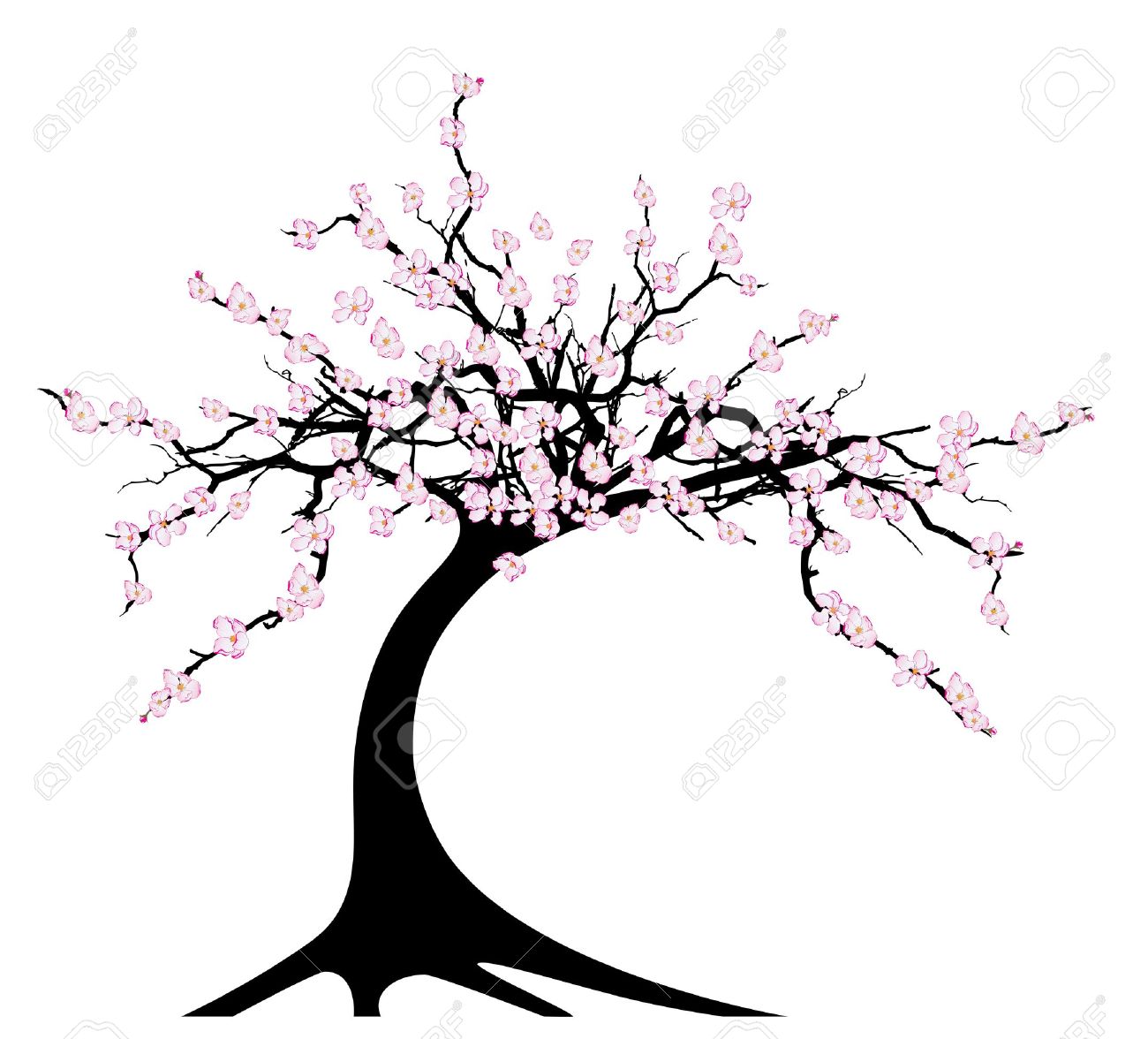 白地に桜の木のイラスト のイラスト素材 ベクタ Image