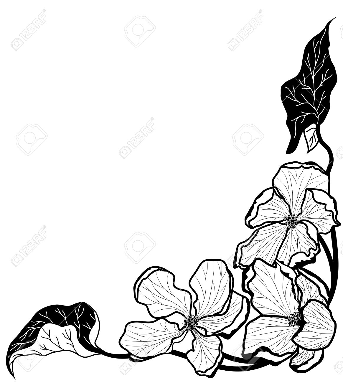 Vector Background With Apple Flowers In Black And White Colors