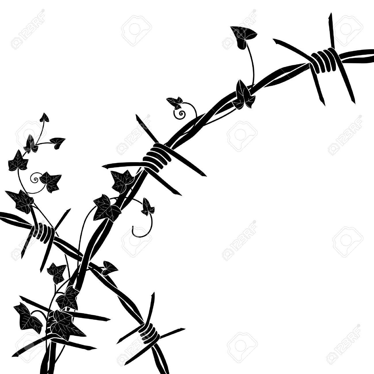 有刺鉄線と黒と白の色のアイビーの図のイラスト素材 ベクタ Image
