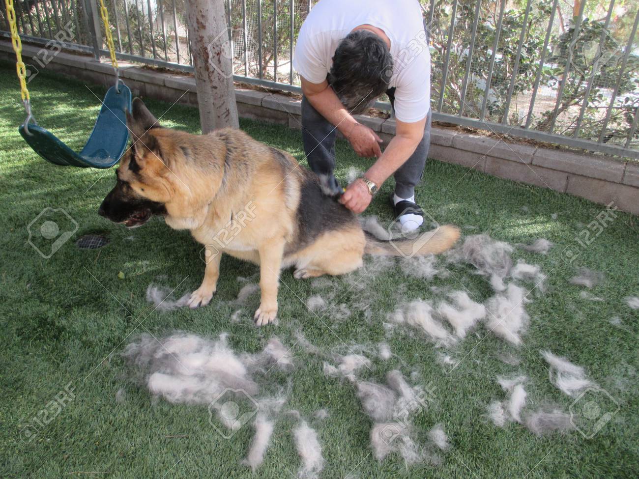 german shepherd dog brush