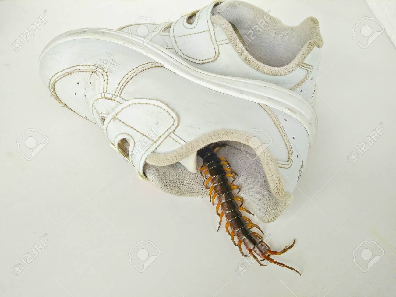 Milpiés Ciempies Calzado Infantil Lhotse Krack Zapatos Planos Del